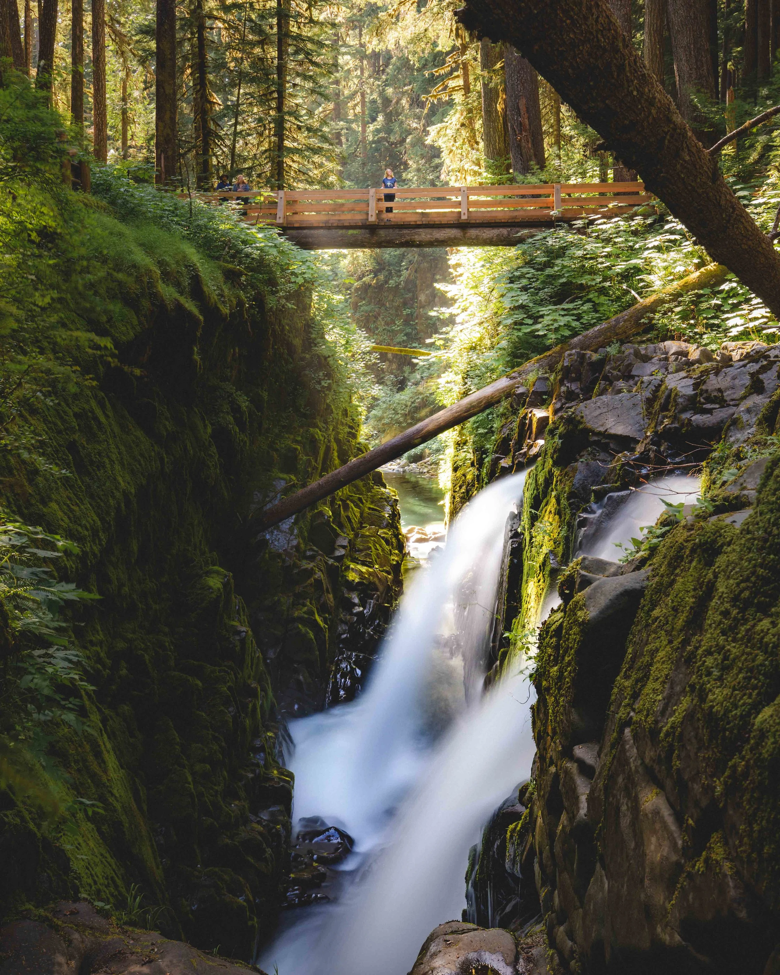 Beautiful Olympic National Park hikes and beaches you must see